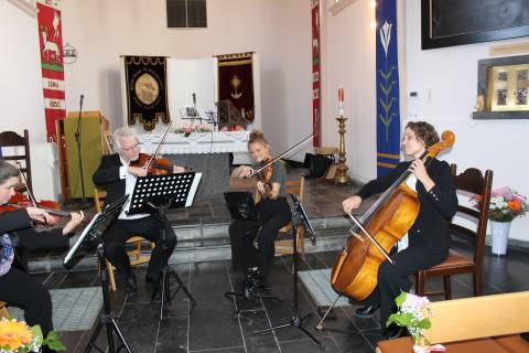 IMG 3786